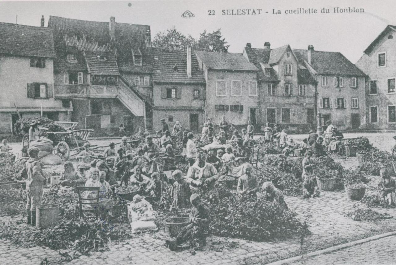 Au Bon Vieux Port Maison De Vacances Alsacienne A 10Mn De Ribeauville, Riquewihr Et Kaysersberg Селеста Экстерьер фото