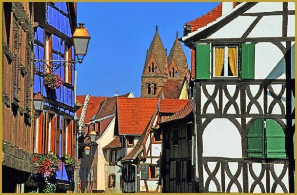 Au Bon Vieux Port Maison De Vacances Alsacienne A 10Mn De Ribeauville, Riquewihr Et Kaysersberg Селеста Экстерьер фото